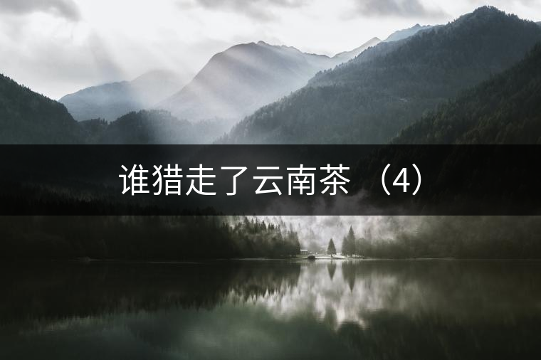 誰獵走了云南茶 (4) 誰獵走了云南茶 (4)