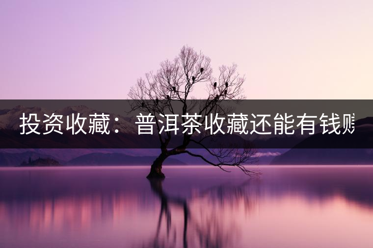 投資收藏：普洱茶收藏還能有錢賺嗎？