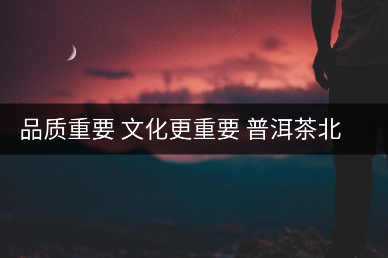 品質重要 文化更重要 普洱茶北上任重而道遠