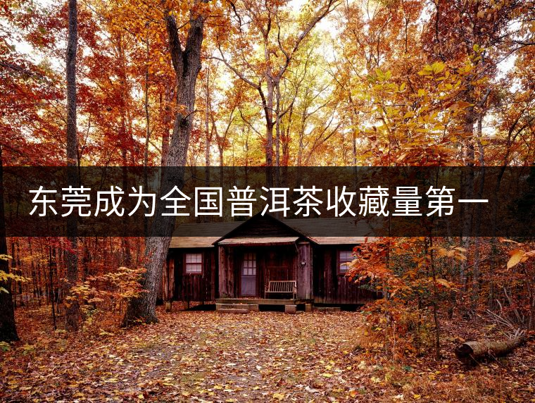 東莞成為全國(guó)普洱茶收藏量第一位的城市？