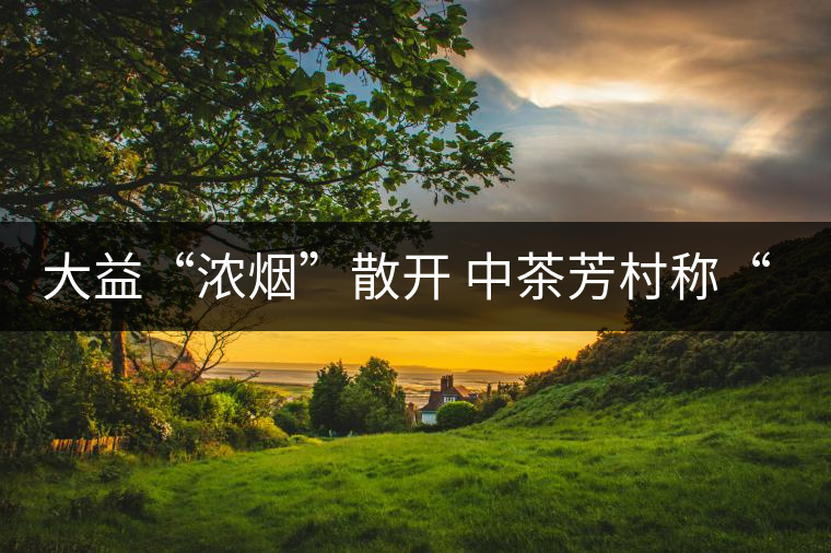 大益“濃煙”散開 中茶芳村稱“王”？