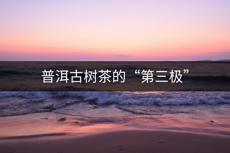 普洱古樹茶的“第三極”