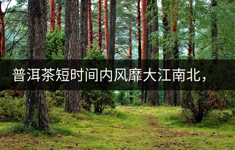 普洱茶短時間內(nèi)風(fēng)靡大江南北，總有一個理由吧？