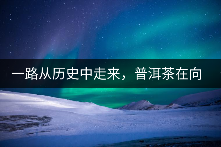 一路從歷史中走來(lái)，普洱茶在向我們?cè)V說(shuō)著什么？