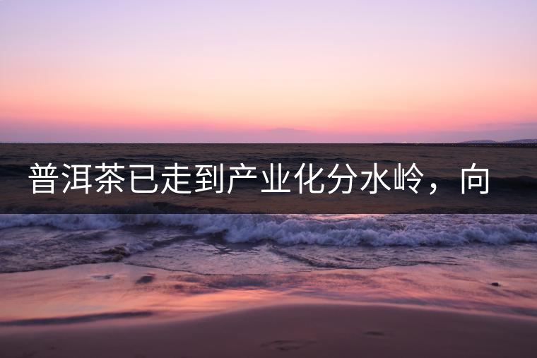 普洱茶已走到產(chǎn)業(yè)化分水嶺，向左還是向右？