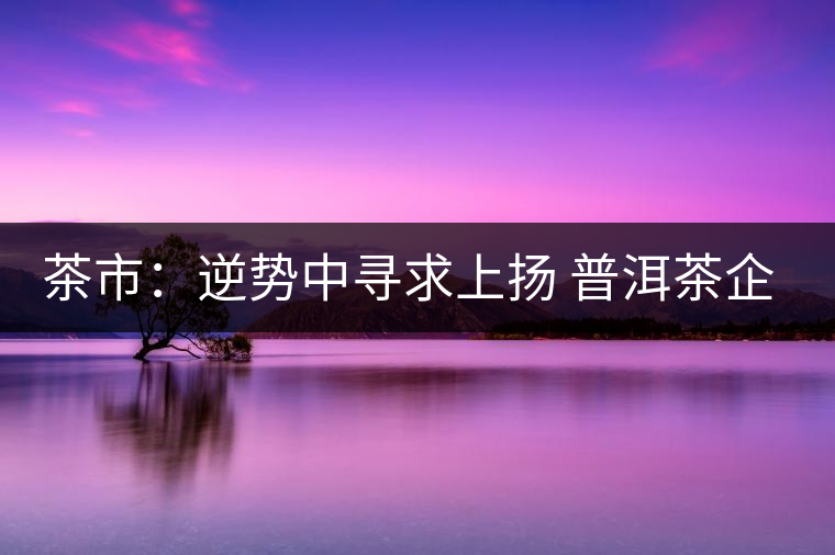 茶市：逆勢(shì)中尋求上揚(yáng) 普洱茶企靠什么打贏這場(chǎng)翻身仗？
