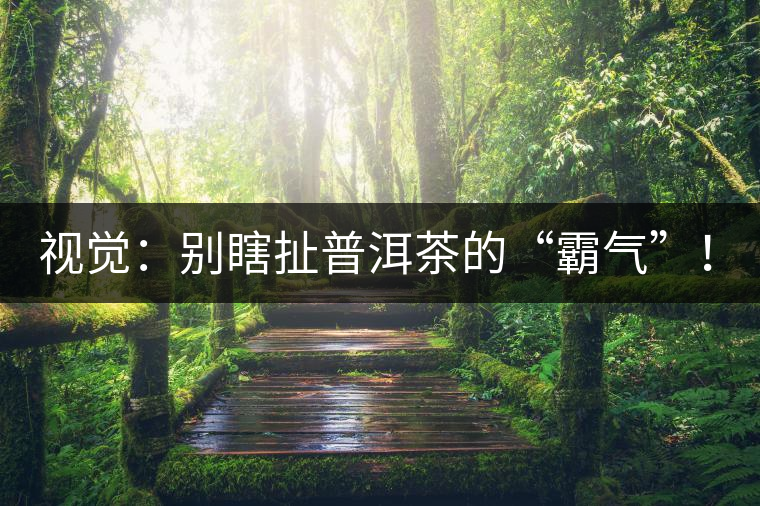 視覺：別瞎扯普洱茶的“霸氣”！偽大師！