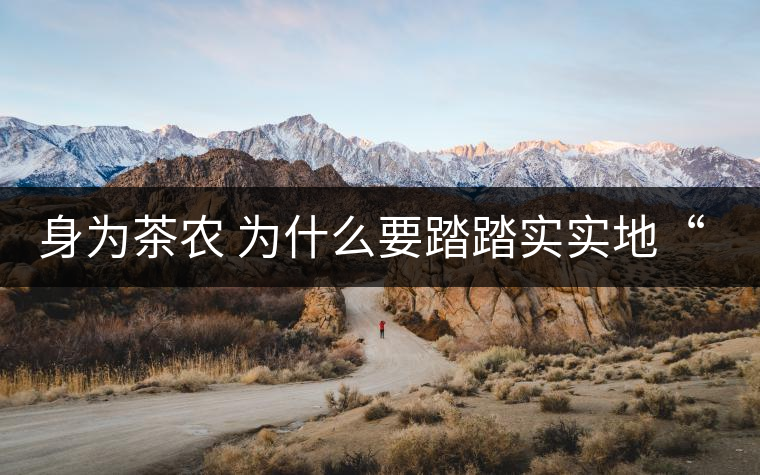 身為茶農(nóng) 為什么要踏踏實(shí)實(shí)地“放毒”！