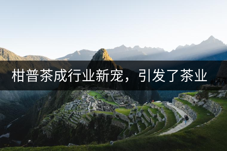 柑普茶成行業(yè)新寵，引發(fā)了茶業(yè)市場新的機(jī)遇與爆點(diǎn)