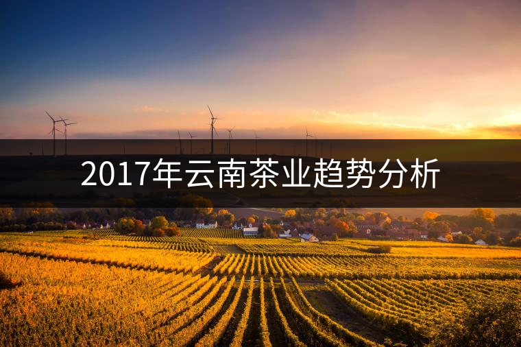 2017年云南茶業(yè)趨勢分析