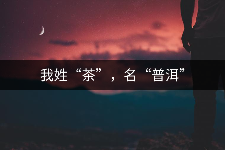 我姓“茶”，名“普洱”