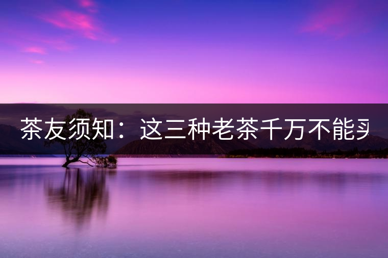 茶友須知：這三種老茶千萬不能買！
