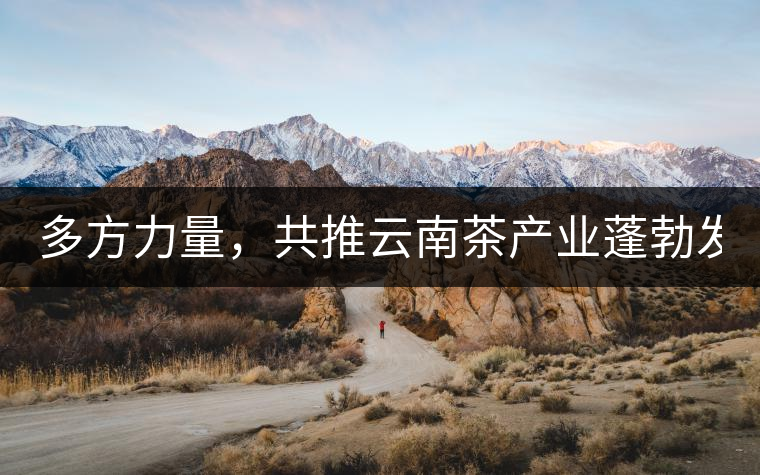 多方力量，共推云南茶產業(yè)蓬勃發(fā)展！