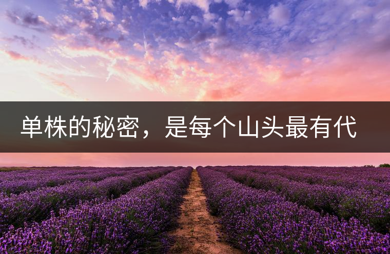 單株的秘密，是每個山頭最有代表性的味道？