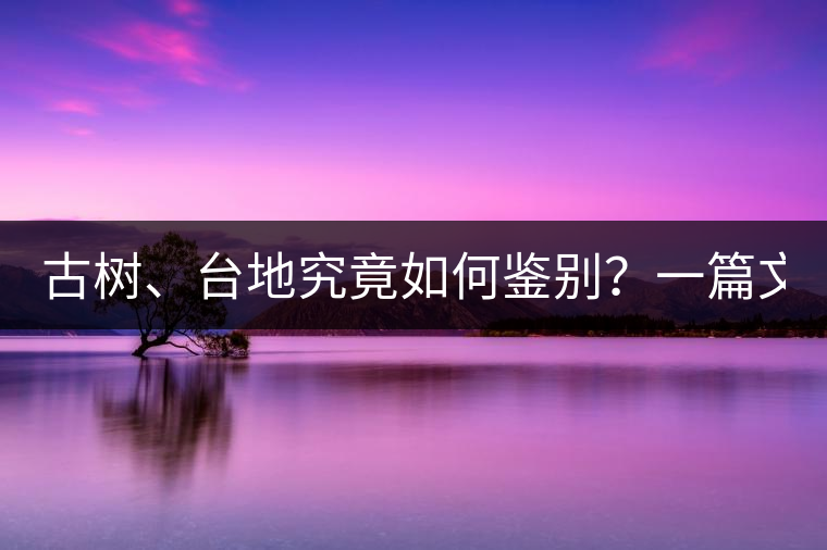 古樹、臺地究竟如何鑒別？一篇文章說透！
