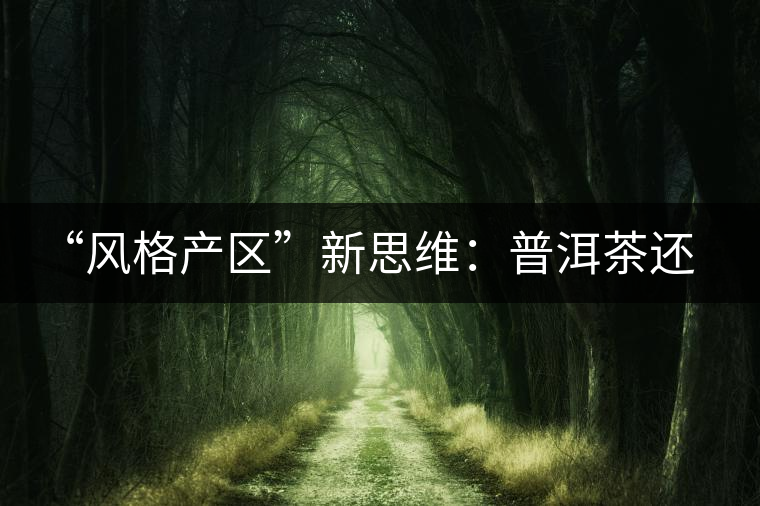 “風格產區(qū)”新思維：普洱茶還有無必要再區(qū)分山頭？