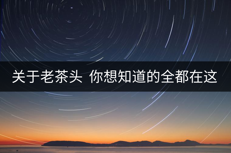 關(guān)于老茶頭  你想知道的全都在這兒啦！