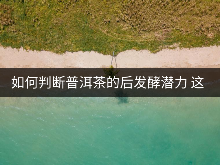 如何判斷普洱茶的后發(fā)酵潛力 這幾個要素你必須要知道