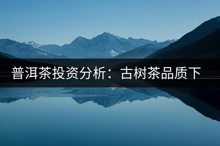 普洱茶投資分析：古樹茶品質下滑？過度采摘才是根源所在