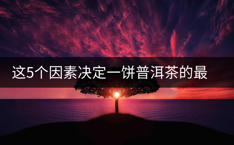 這5個(gè)因素決定一餅普洱茶的最后價(jià)格