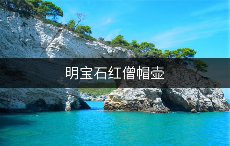 明寶石紅僧帽壺