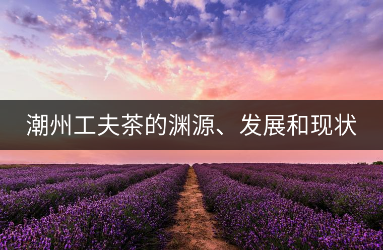 潮州工夫茶的淵源、發(fā)展和現狀