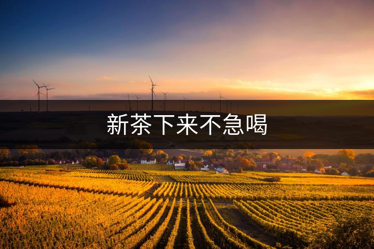 新茶下來不急喝 新茶下來不急喝