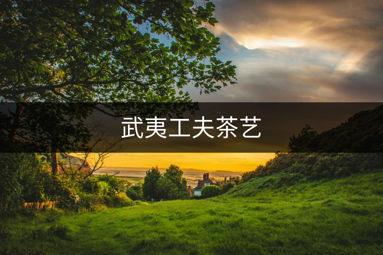 武夷工夫茶藝 武夷工夫茶藝