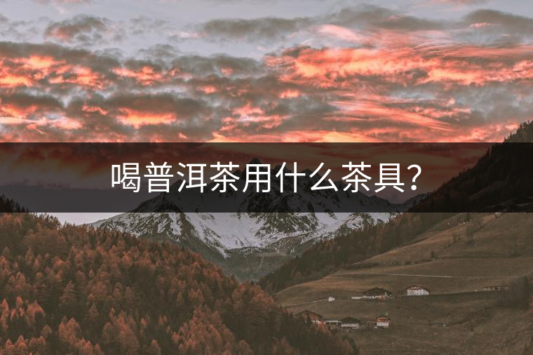 喝普洱茶用什么茶具？