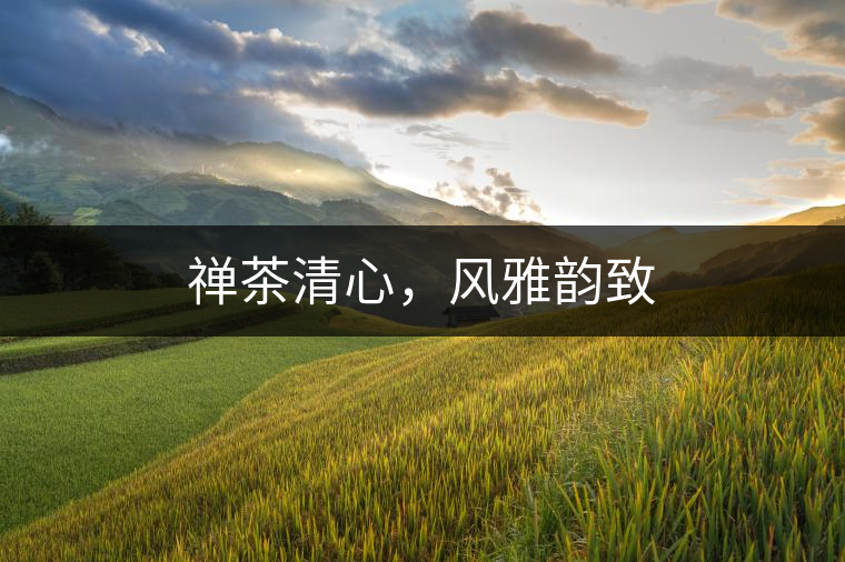 禪茶清心，風(fēng)雅韻致