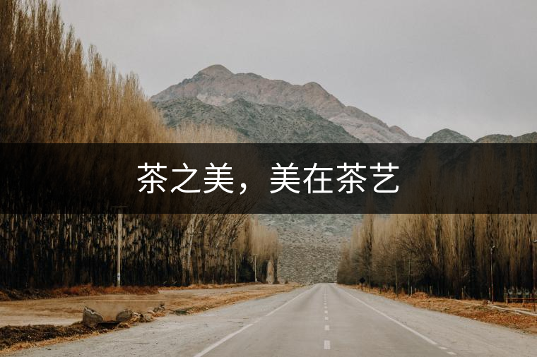 茶之美，美在茶藝