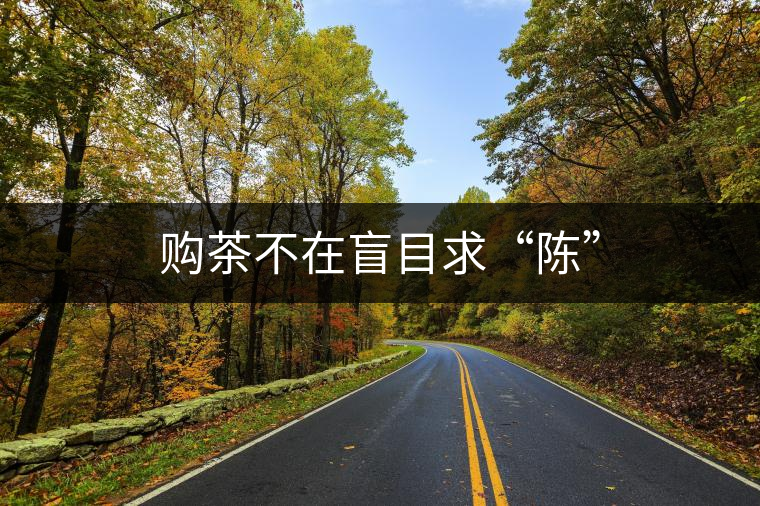 購茶不在盲目求“陳”