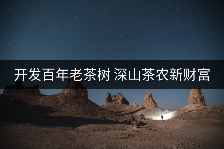 開(kāi)發(fā)百年老茶樹(shù) 深山茶農(nóng)新財(cái)富 開(kāi)發(fā)百年老茶樹(shù) 深山茶農(nóng)新財(cái)富