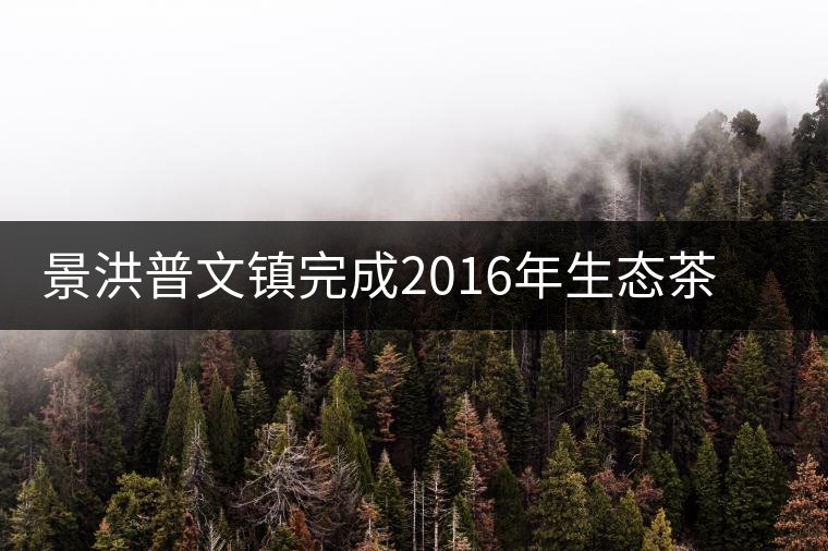 景洪普文鎮(zhèn)完成2016年生態(tài)茶園建設(shè)種苗發(fā)放