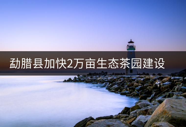 勐臘縣加快2萬畝生態(tài)茶園建設(shè)，促進茶葉產(chǎn)業(yè)持續(xù)發(fā)展