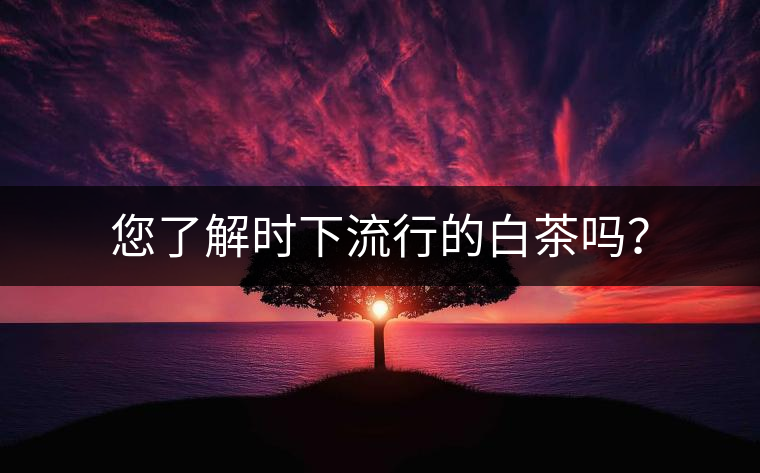 您了解時(shí)下流行的白茶嗎？