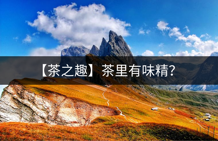 【茶之趣】茶里有味精？