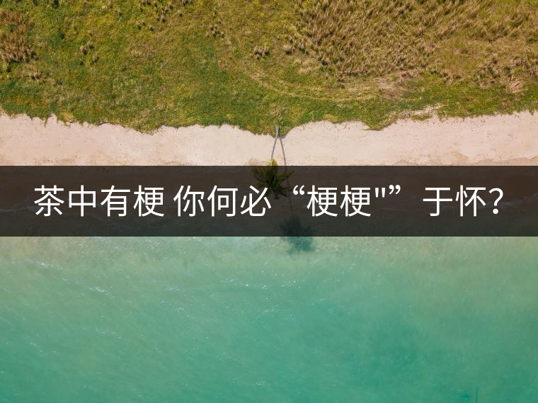 茶中有梗 你何必“梗梗