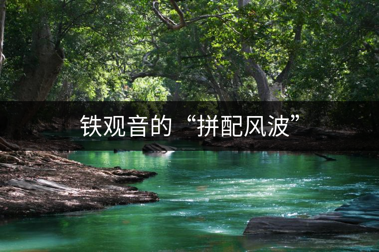 鐵觀音的“拼配風波”