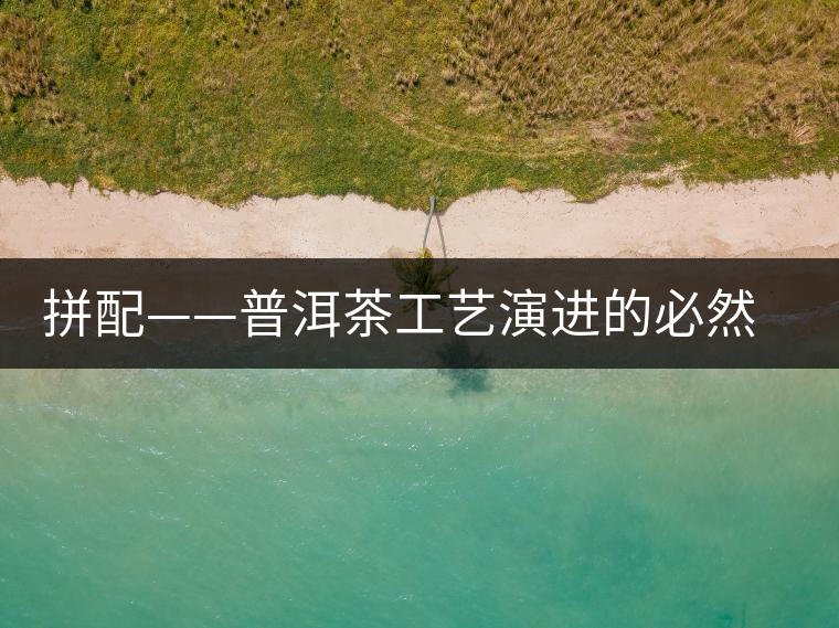 拼配——普洱茶工藝演進的必然方向 拼配——普洱茶工藝演進的必然方向