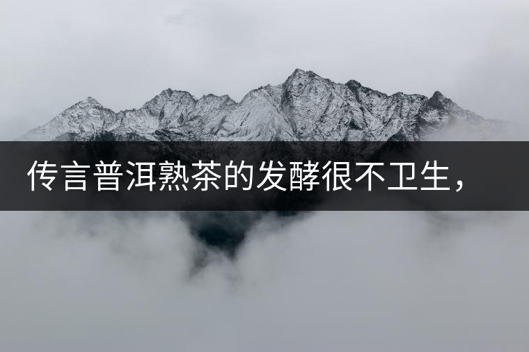 傳言普洱熟茶的發(fā)酵很不衛(wèi)生，是真的嗎？