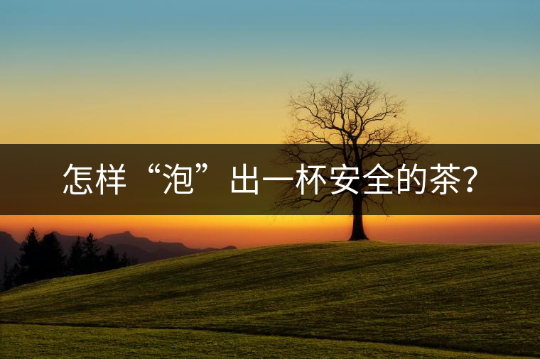 怎樣“泡”出一杯安全的茶？