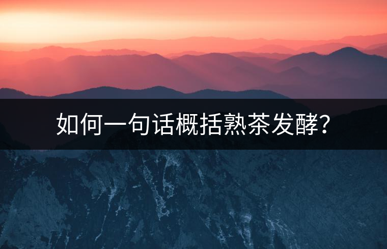 如何一句話概括熟茶發(fā)酵？