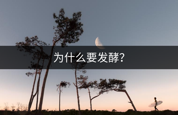 為什么要發(fā)酵？
