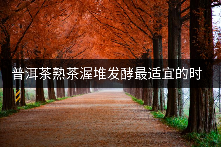 普洱茶熟茶渥堆發(fā)酵最適宜的時期是什么時候？