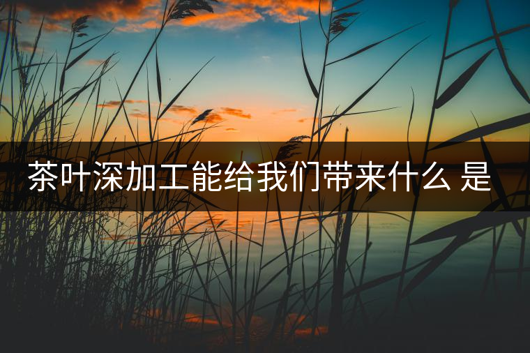 茶葉深加工能給我們帶來什么 是利還是弊呢？