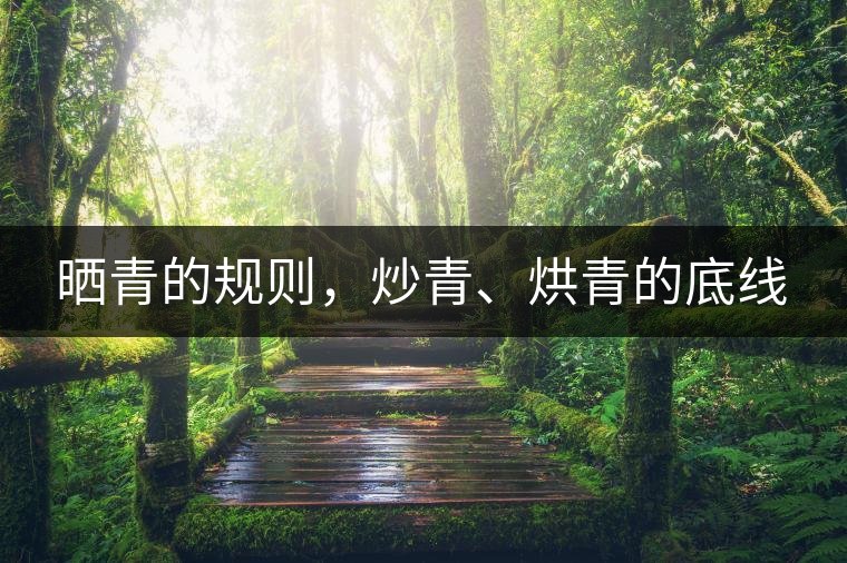 曬青的規(guī)則，炒青、烘青的底線