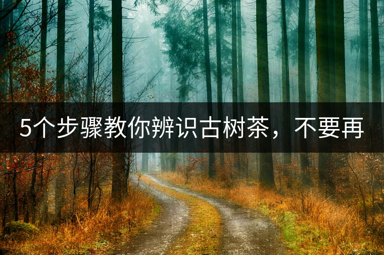 5個步驟教你辨識古樹茶，不要再被騙了！