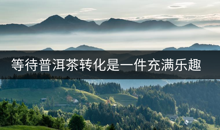 等待普洱茶轉(zhuǎn)化是一件充滿樂(lè)趣的事 等待普洱茶轉(zhuǎn)化是一件充滿樂(lè)趣的事