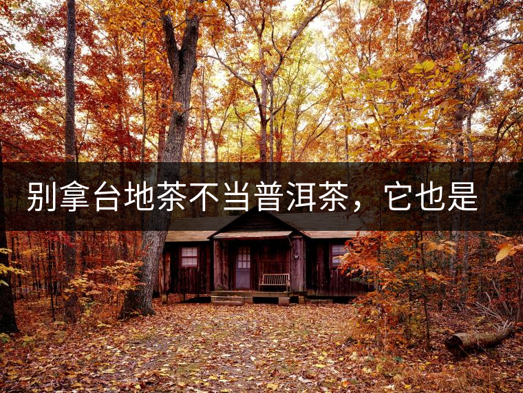 別拿臺地茶不當普洱茶，它也是大葉種喬木